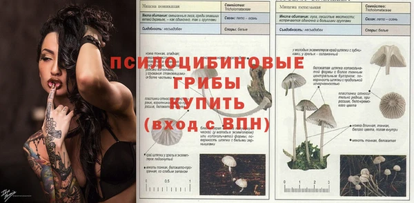 молекула духа Алзамай