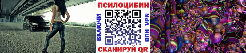 блэк спрут ссылки  Чита  Псилоцибиновые грибы MAGIC MUSHROOMS 