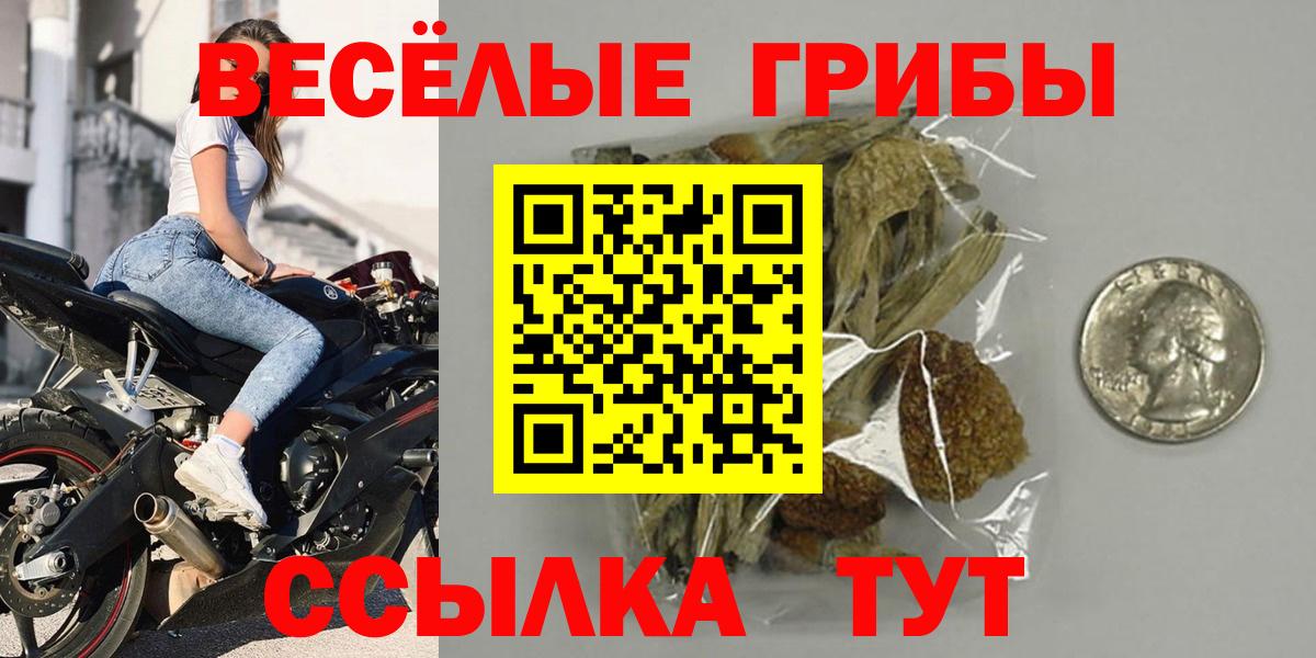 Псилоцибиновые грибы мухоморы Чита