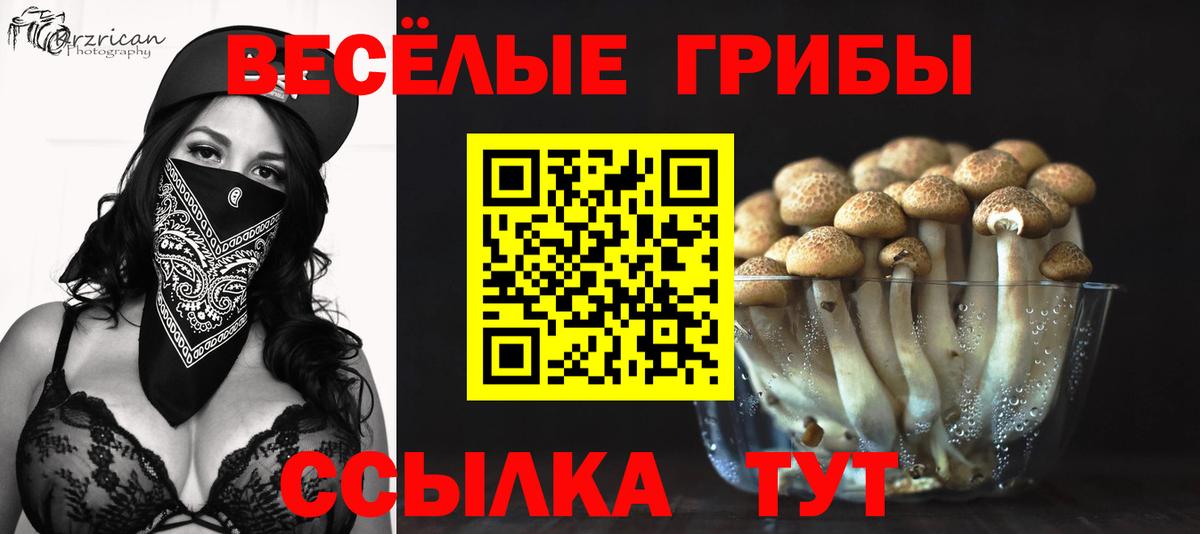 наркотики  Вход с VPN  Чита  Псилоцибиновые грибы мухоморы 